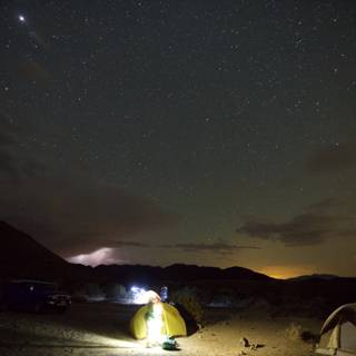 Under the Stars: A Night of Camping