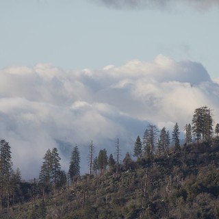 Misty Mountain Forest with Storm Clouds Rolling In