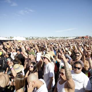 Coachella's Groovy Crowd