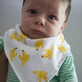 Banana Bib Baby