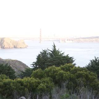 A Majestic View of the Golden Gate Bridge from the Evergreen Hill