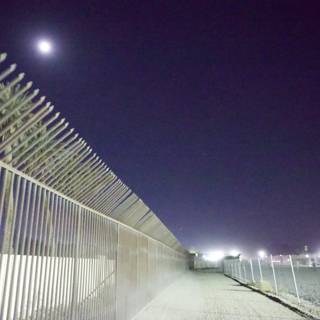Moonlit Pathway: A Night at Coachella 2024