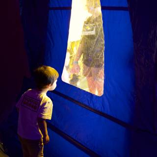 Through the Looking Window