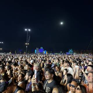 Under the Desert Moon