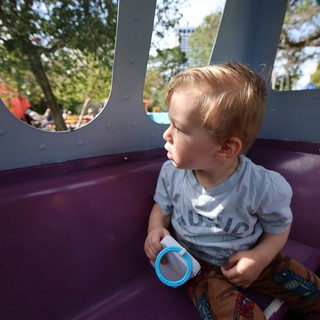 Toddler Gazing Through Playground Structure Window