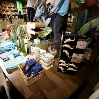 Claude the Alligator Memorial Display at Gift Shop