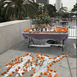 Pumpkins and Plants at Civic Center Mall