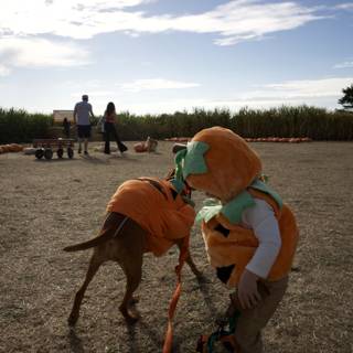 Pumpkin Pals: A Toddler and his Canine Companion at Halfmoon Bay
