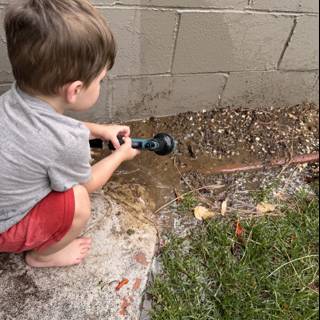 Backyard Engineer