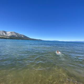 Swimming in the Majestic Mountains