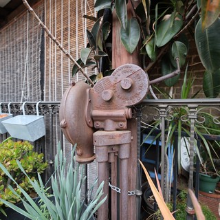 Vintage Industrial Water Pump in Urban Garden Setting