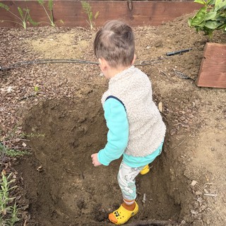 Young Boy Exploring a Freshly Dug Garden Bed
