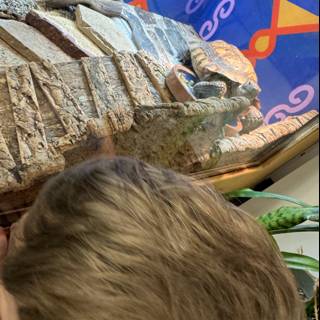 Curiosity at the Reptile Exhibit