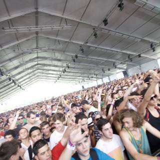 Coachella 2010: A Vibrant Concert Crowd