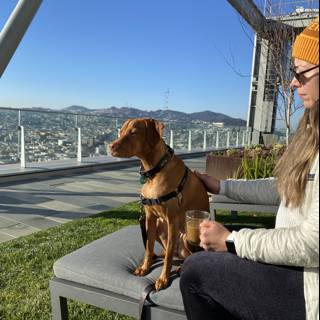 Woman and Vizsla enjoying a sunny day by the water