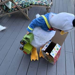 Duckling Delights on the Deck