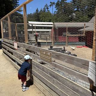 Curious Explorations at Tilden Nature Area