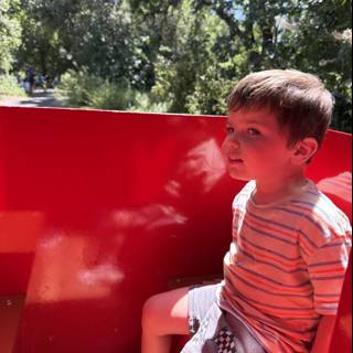 Joyful Ride Under the Summer Sun