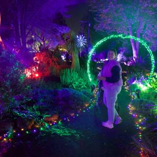 Nighttime Enchantment at Garden of D'Lights