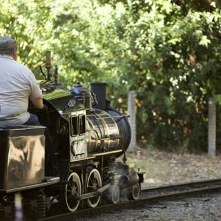 Whistle Through the Woods: A Locomotive Adventure