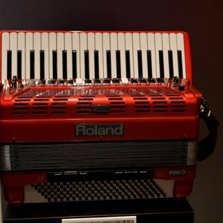 The Red Accordion at the Museum