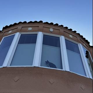 Bay Window Kitty Gazing at the Blue Sky