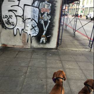 Two Dogs Posing in Front of Graffiti Art