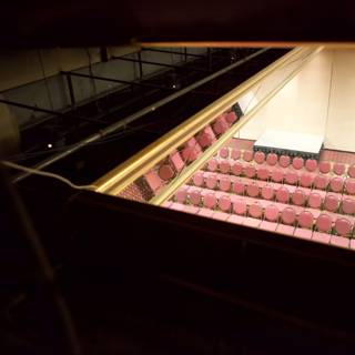 View of Auditorium from Balcony