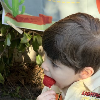 Young Boy Enjoying Frozen Strawberry Treat Outdoors