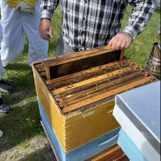 Busy as a Beekeeper