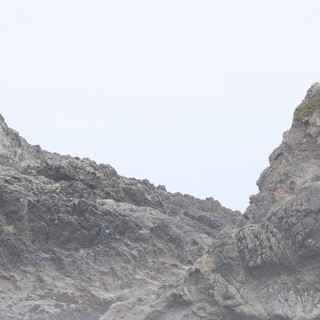 Jagged Coastal Rocks Emerge Through Pacific Fog