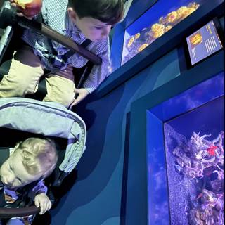 Underwater Wonders