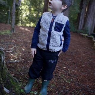 Exploring the Enchanted Forest