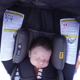 Newborn Baby Sleeping Peacefully in Car Seat