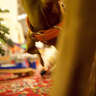 Golden Christmas Ornament Detail on Festive Table