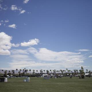 Coachella Field Frenzy