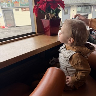 Toddler Watching Winter Day Through Window