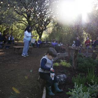 Sunlit Wonders at Thistlewyck