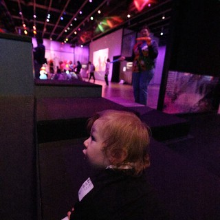 Child Mesmerized by Colorful Baby Rave Light Display