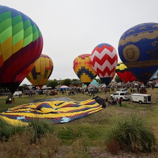 Colorful Hot Air Balloons Fill the Morning Sky