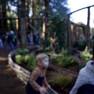 Woodland Wonder at Thistlewyck