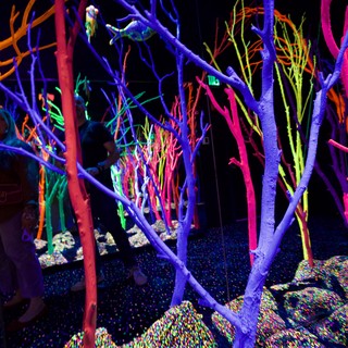 immersive-art-installation-venue