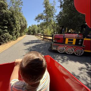 A Joyride Through the Park