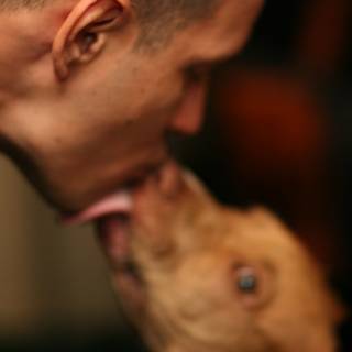 Man shares a smooch with his furry friend