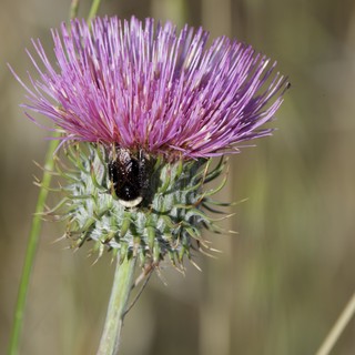 state-park-natural-open-space