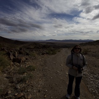 joshua-tree-national-park