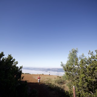 Above the Clouds on Mount Diablo's Ridge