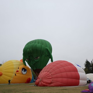 Colorful Hot Air Balloons Inflate at Sonoma Classic