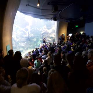 Aquarium Exhibit Draws a Big Crowd