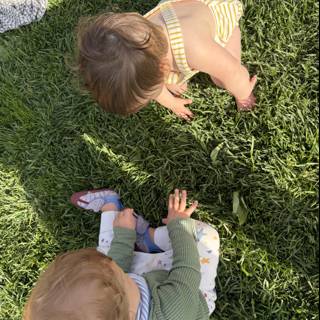 Little Discoveries in the Grass